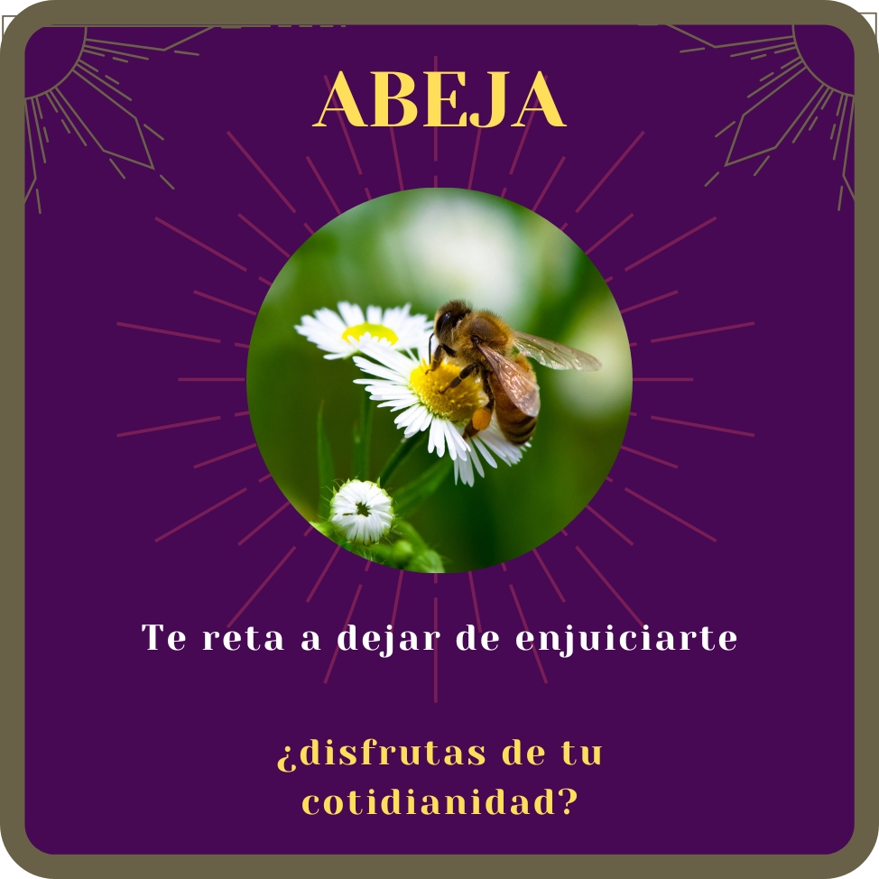 abeja