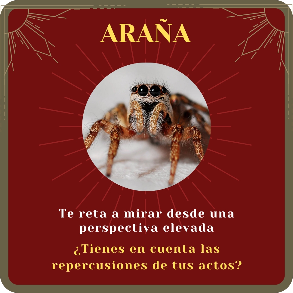 araña