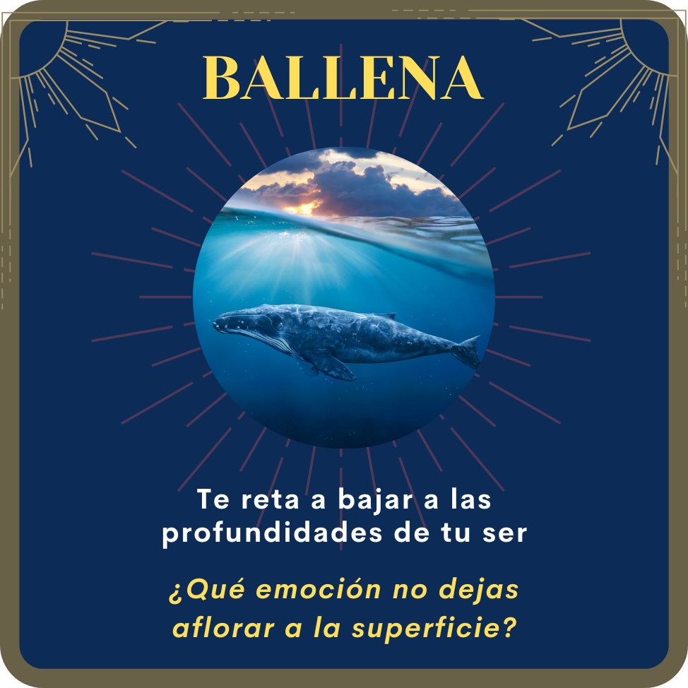 ballena