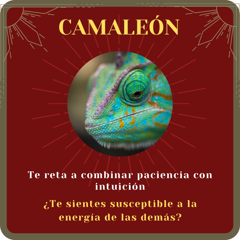 camaleón