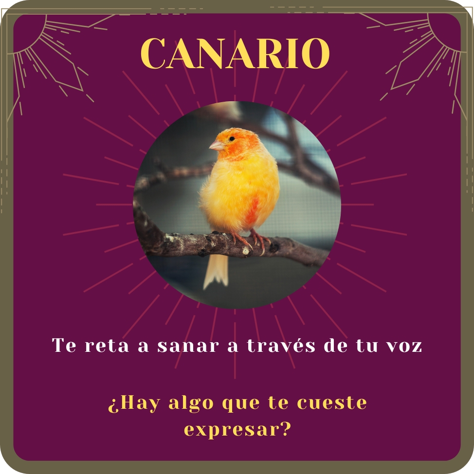 canario