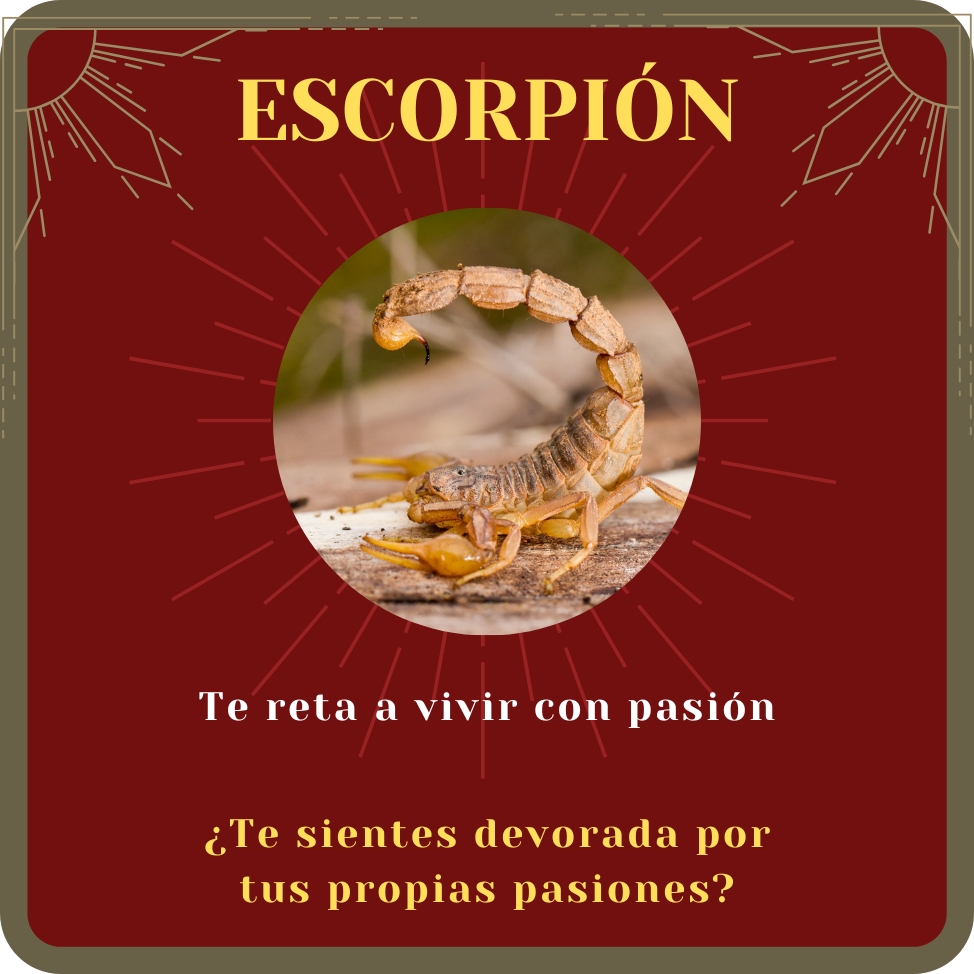escorpión