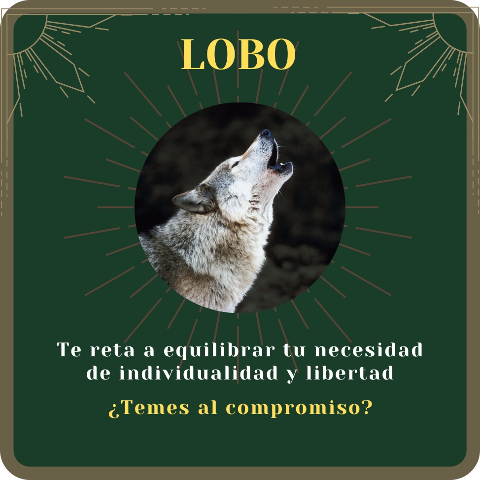 lobo