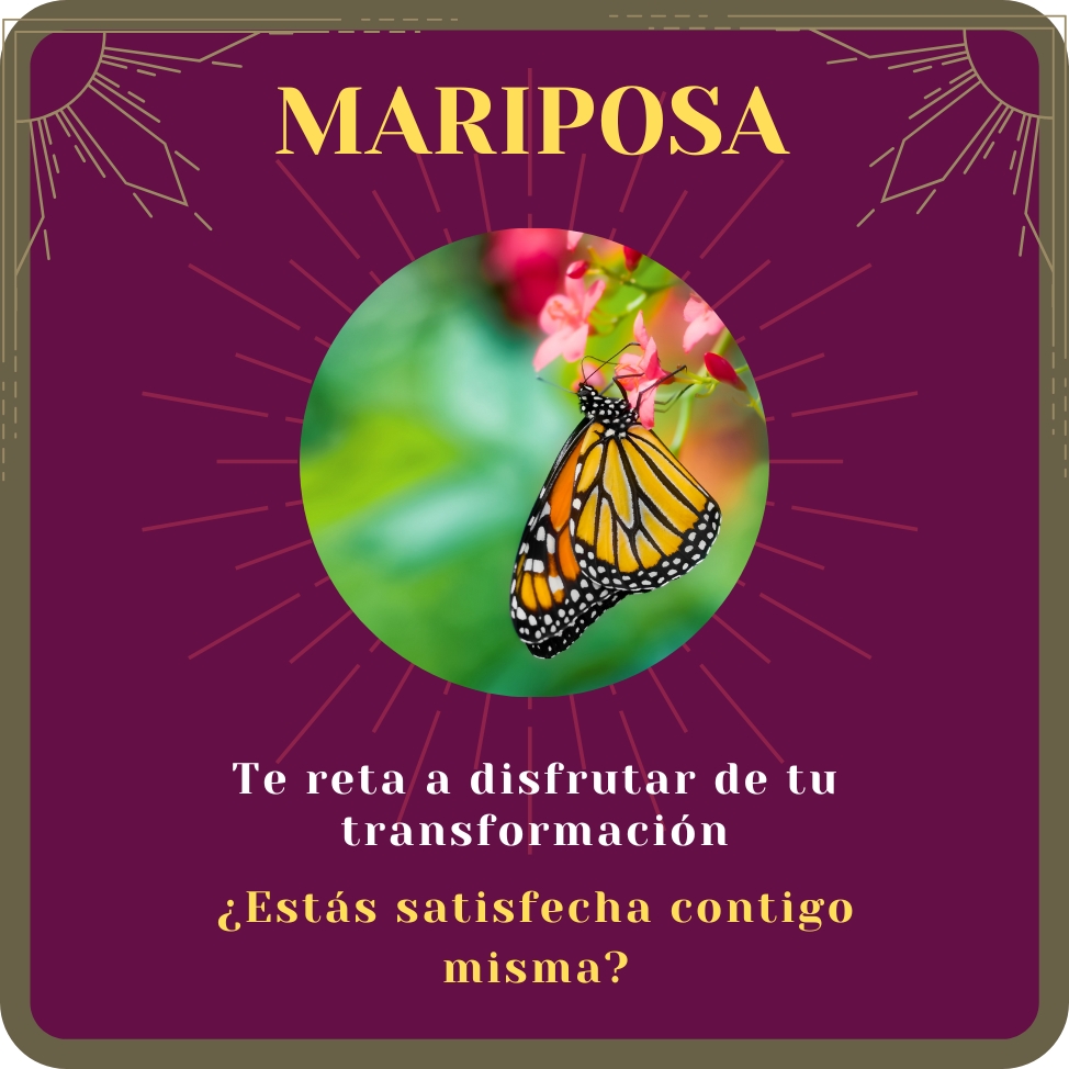 mariposa