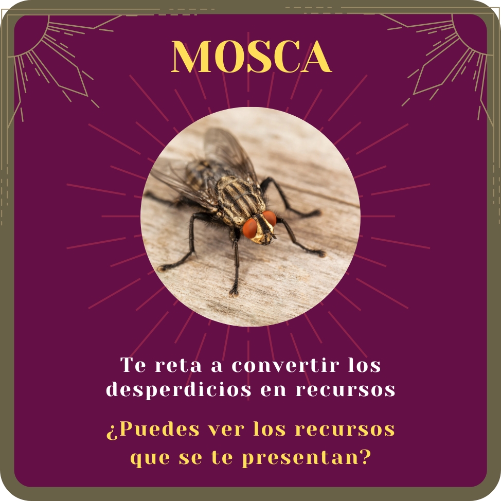 mosca