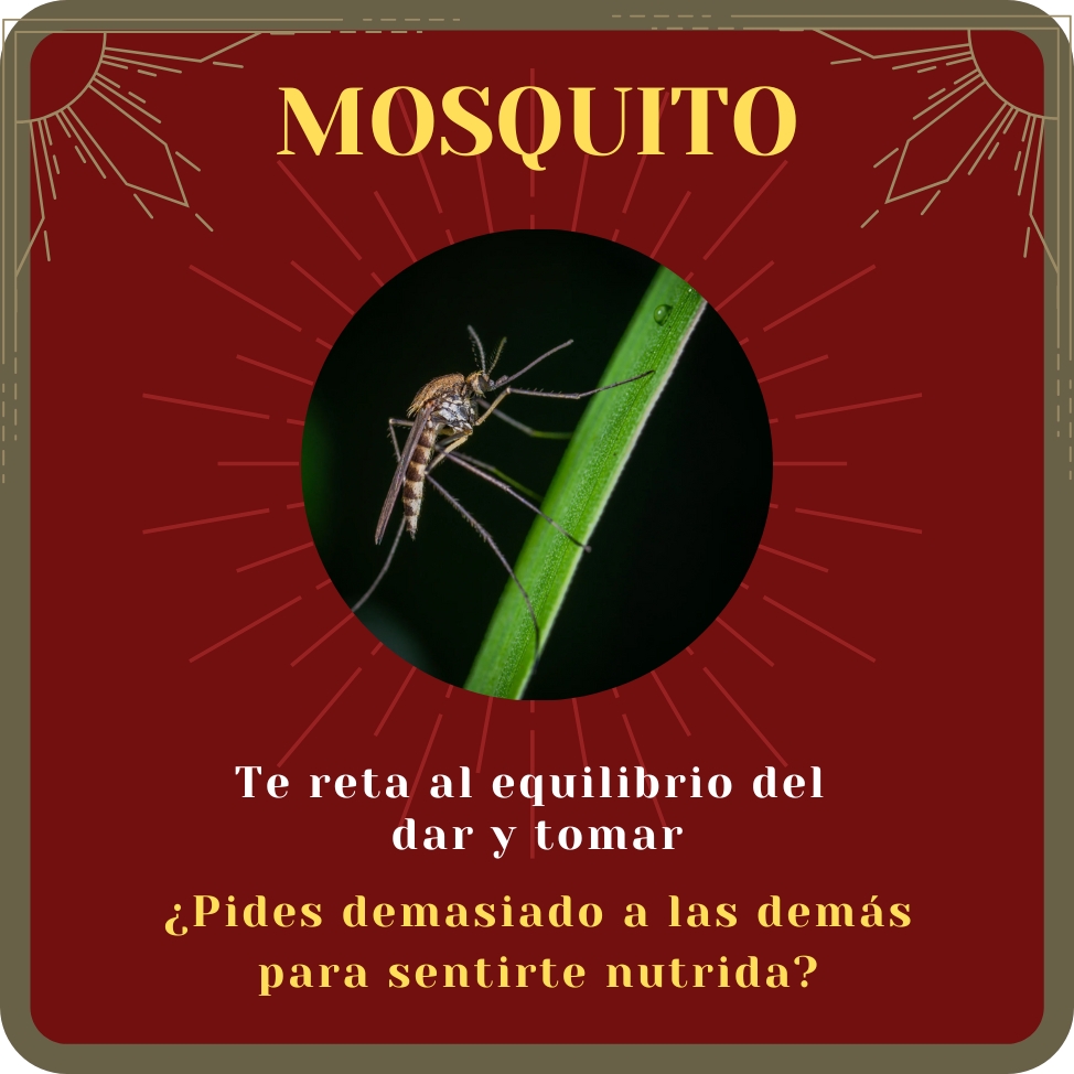 mosquito