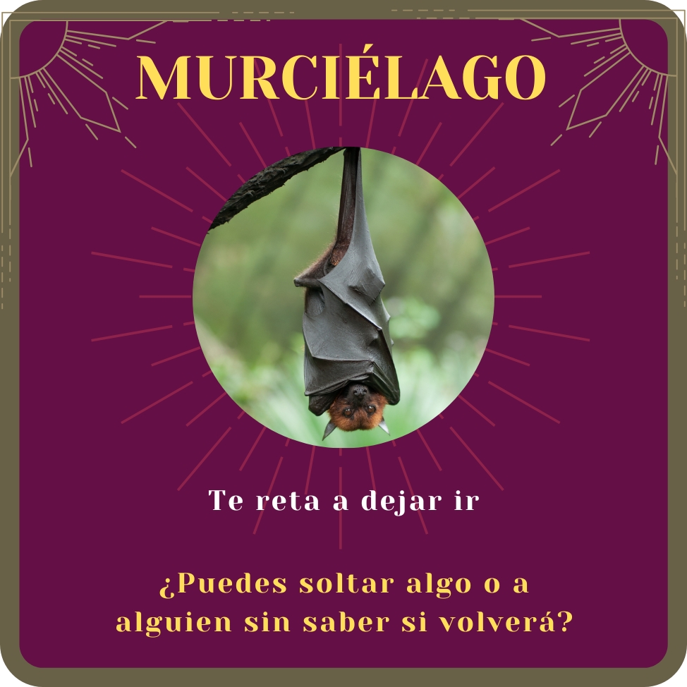 murciélago