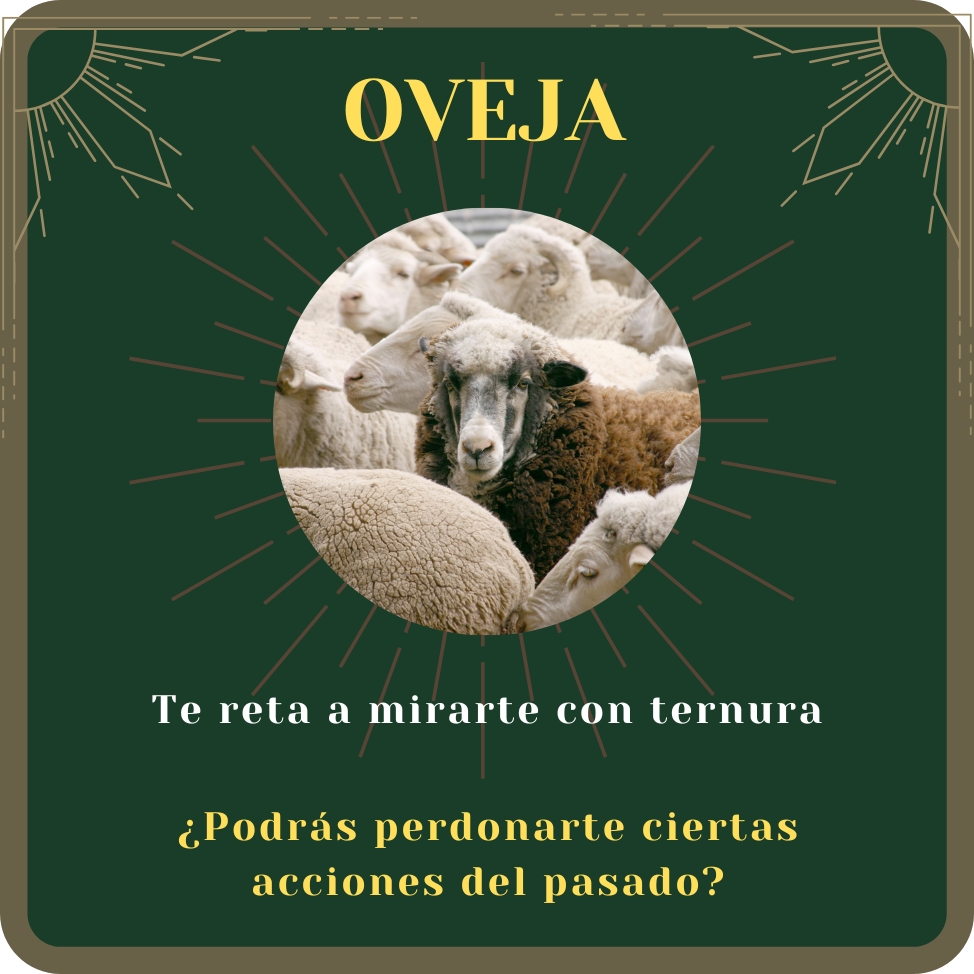 oveja