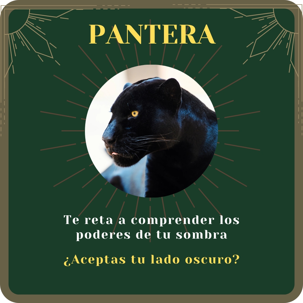 pantera