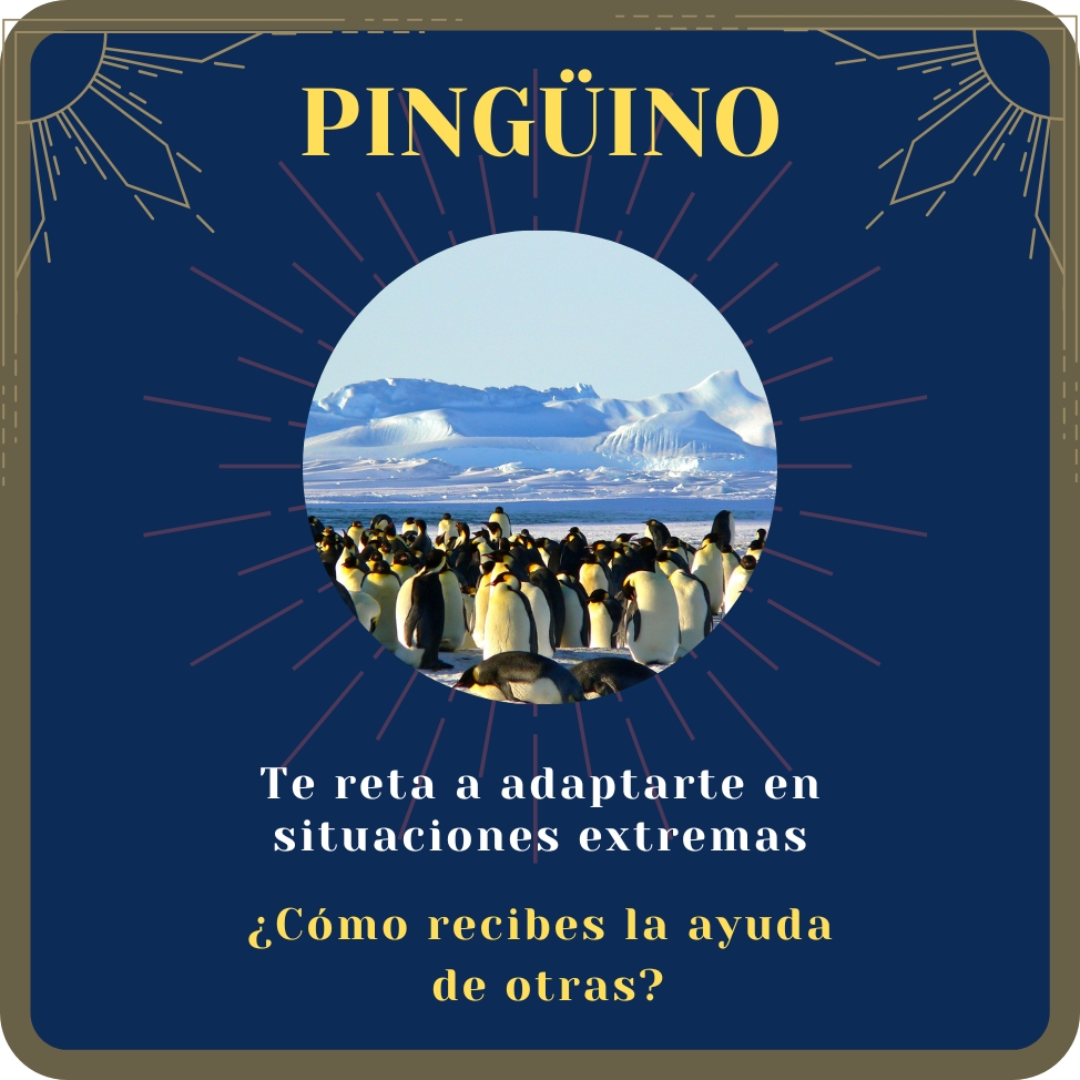 pingüino
