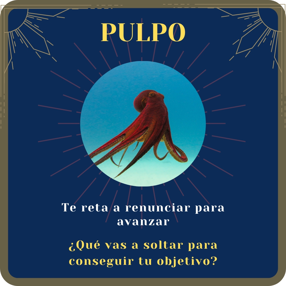pulpo