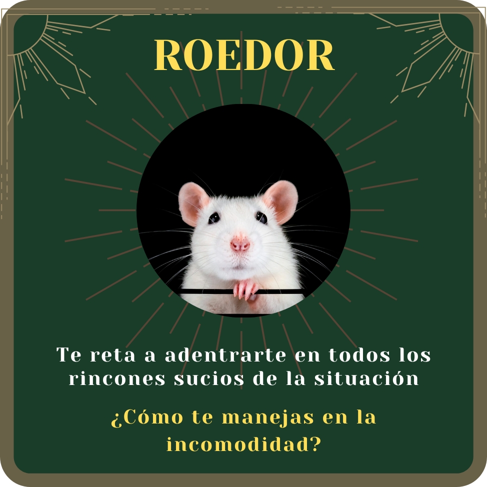 roedor