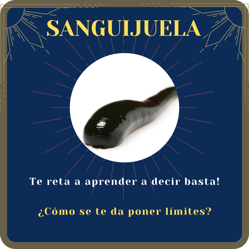 sanguijuela