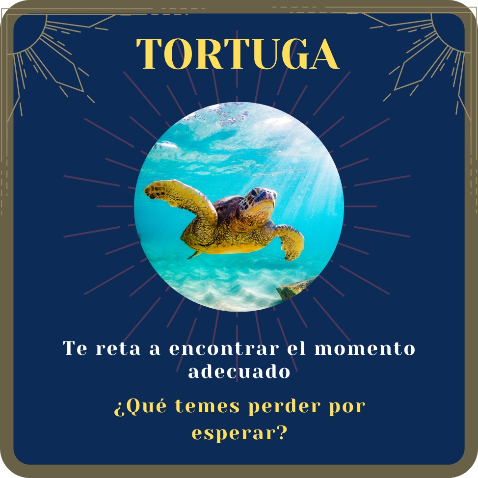 tortuga