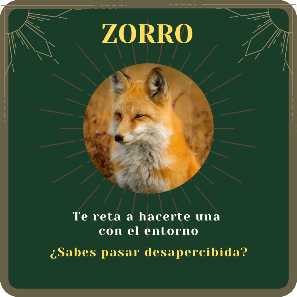 zorro